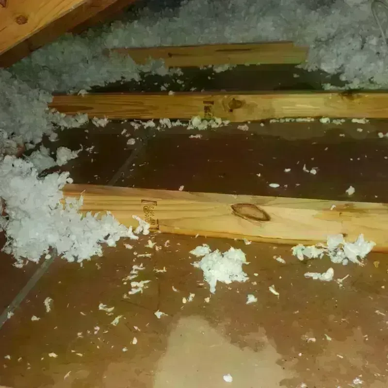 Attic Water Damage in Edwardsville, KS