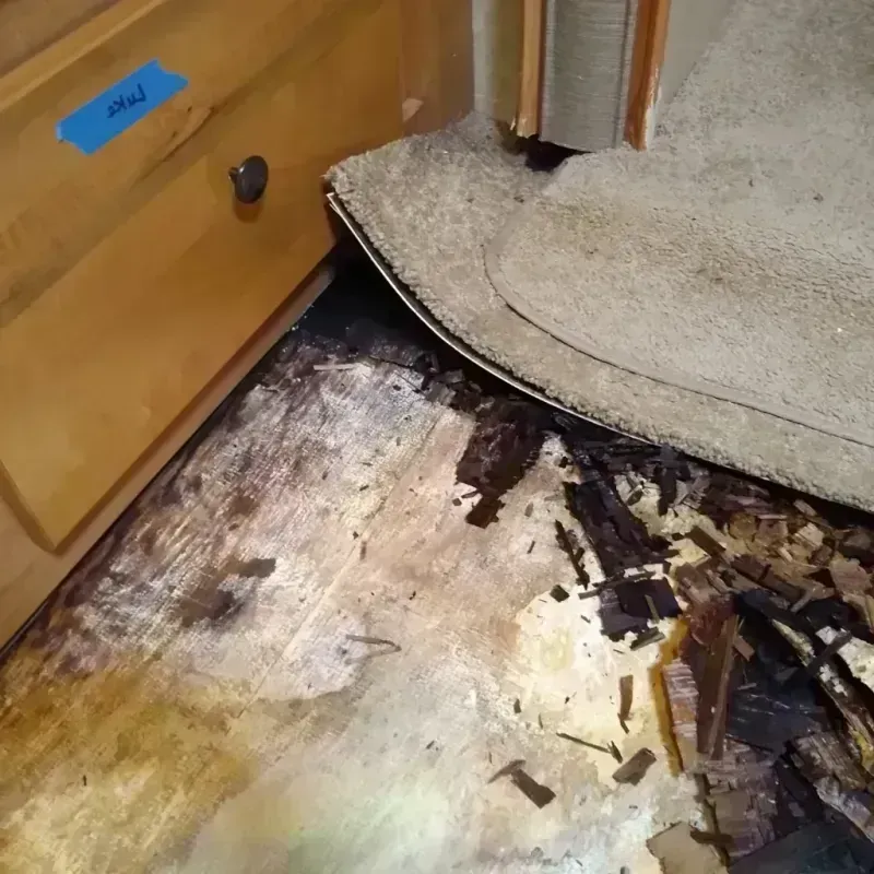 Best Wood Floor Water Damage Service in Edwardsville, KS